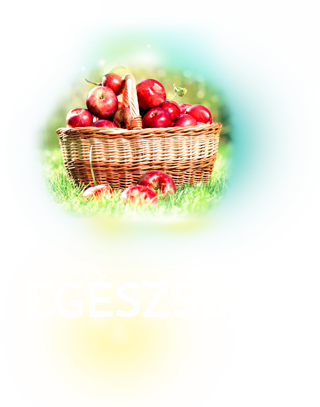 Egészség